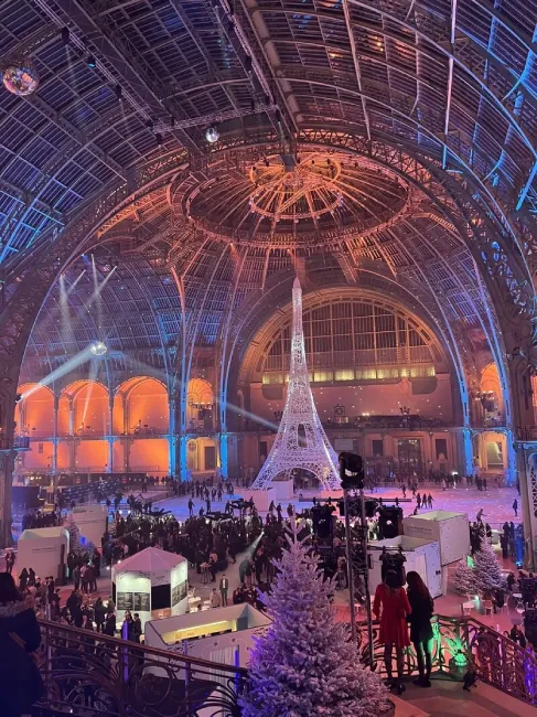 Vue sur la Tour Eiffel depuis l'événement au Grand Palais